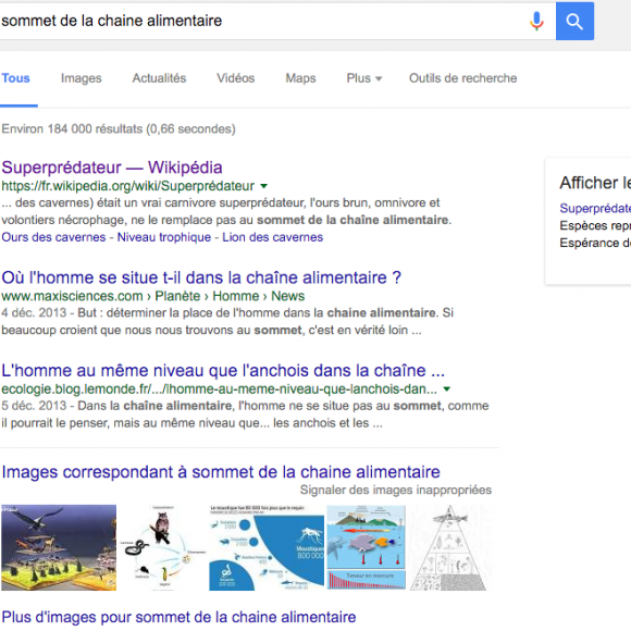 Rankbrain exemple SERP 2
