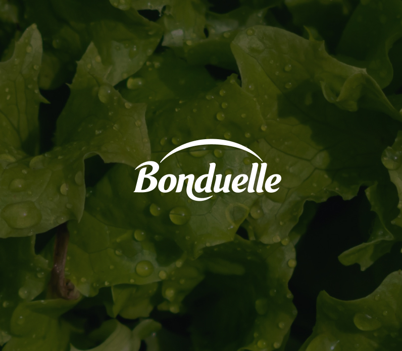 Visuel du cas client Bonduelle avec fond salade